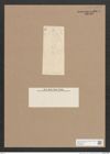 Navicula sp. (de-Toni-Nr.: Genus 1) Zeichnungen Sammlung Grunow Nr. 1334 (NHMW-BOT-W0368265)